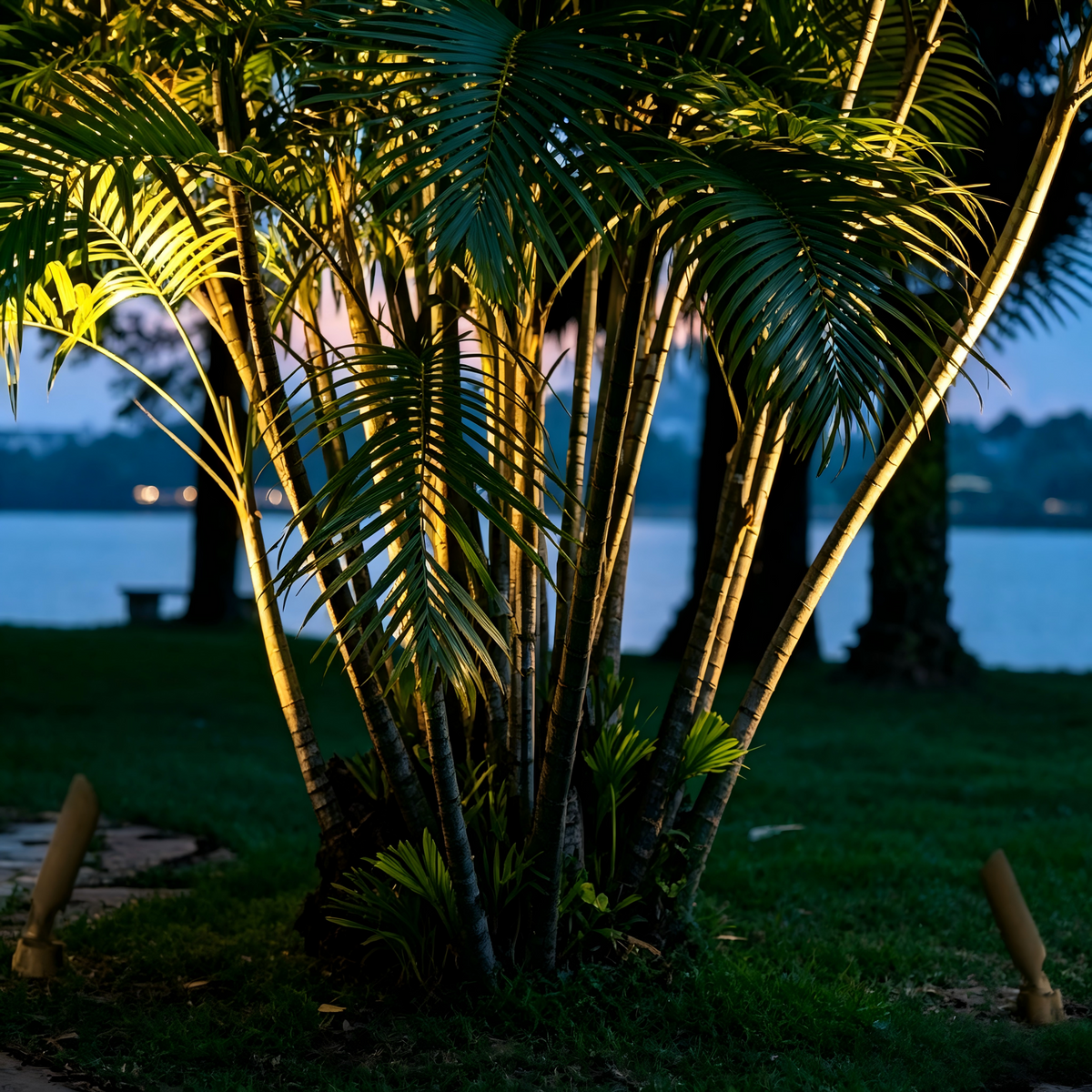 Outdoor Spotlight (HL-TGD70-3)